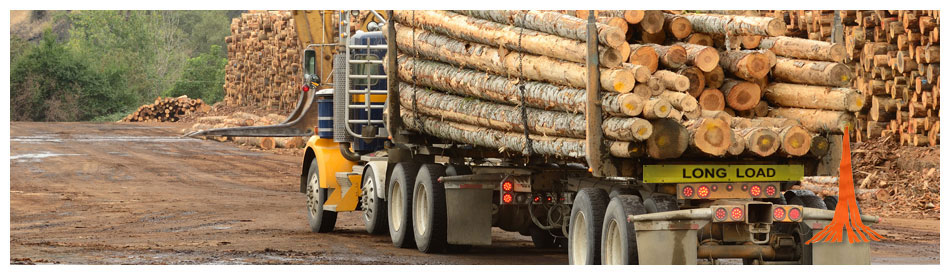 Logging Truck